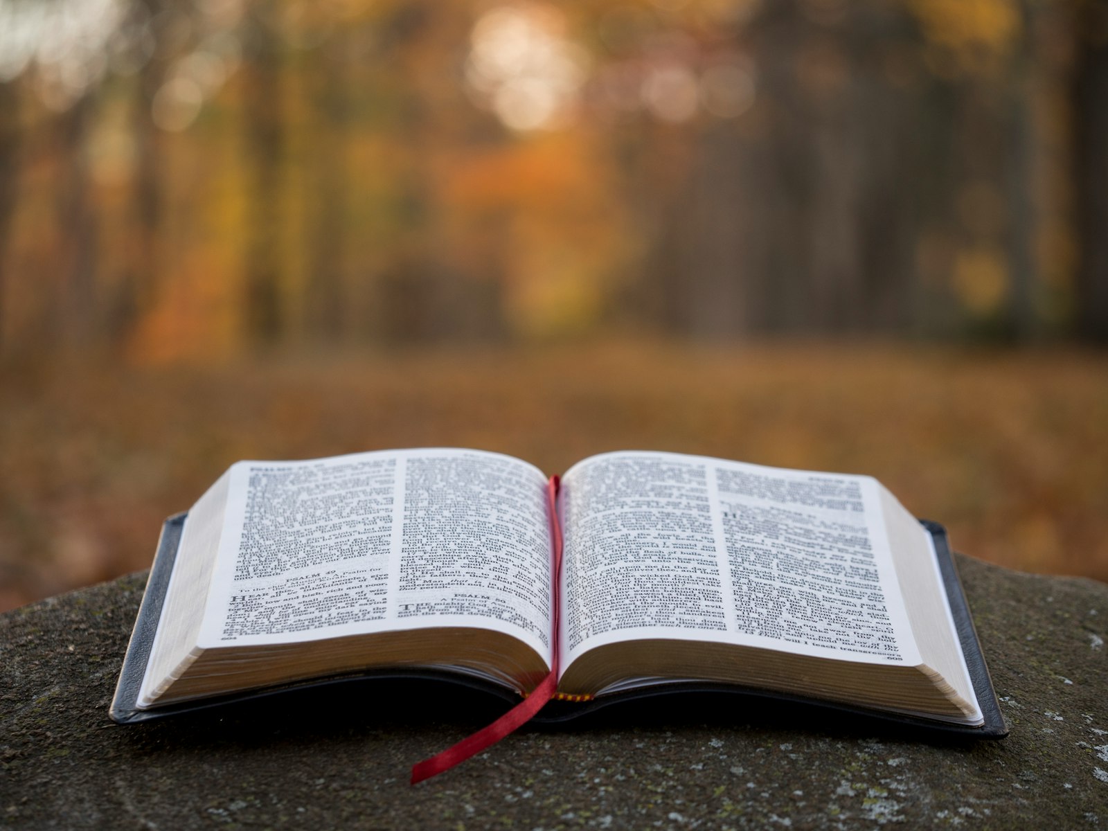Pagină de Biblie deschisă într-un cadru de reflecție